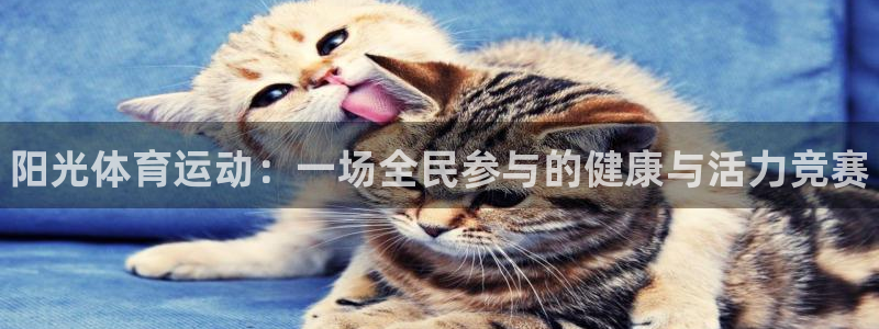 oety欧亿体育官网下载平台是正规平台吗安全吗：阳光