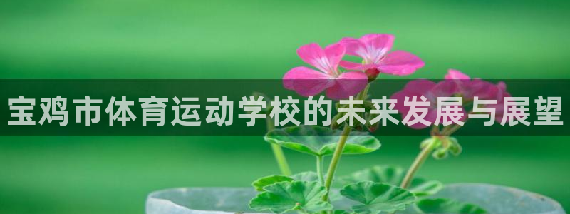 欧亿体育官方正版app集团logo：宝鸡市体育运动学