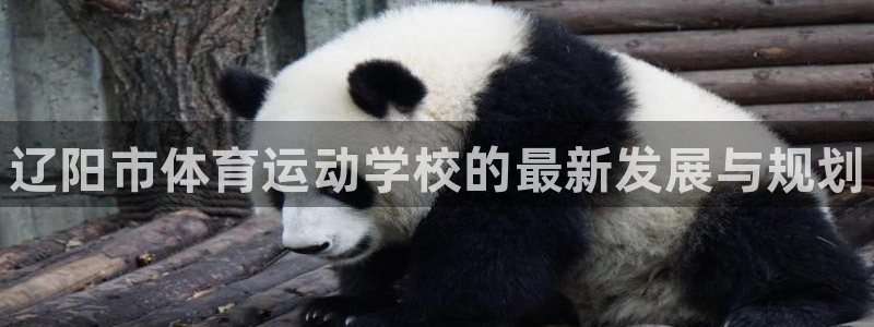 oety欧亿体育官网下载招商电话号码：辽阳市体育运动