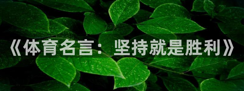 oety欧亿体育官网下载招商电话号码查询是多少：《体