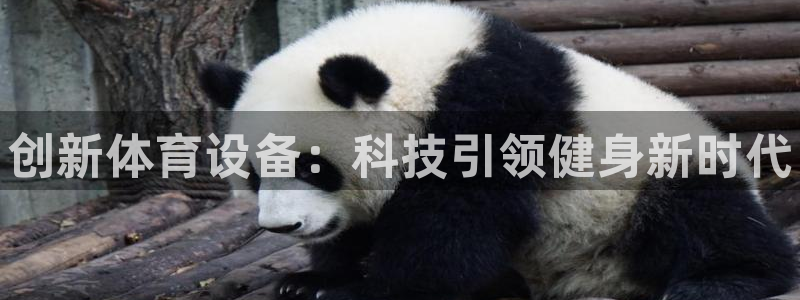 欧亿体育官方平台体育：创新体育设备：科技引领健身新时