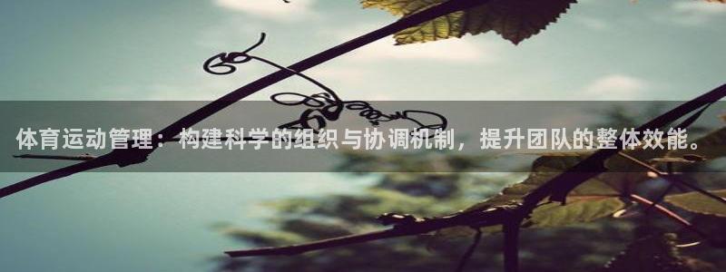 欧亿体育官方正版app集团官网网址：体育运动管理：构
