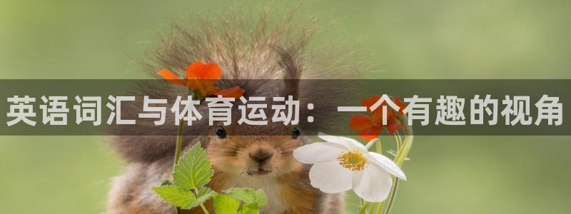 oety欧亿体育官网下载招商电话地址查询：英语词汇与