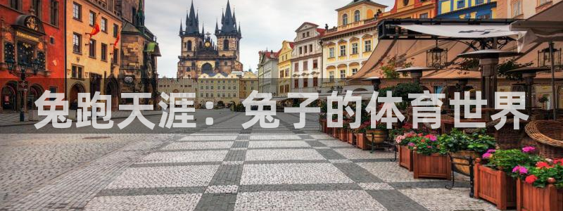oety欧亿体育官网下载招商电话地址是多少：兔跑天涯