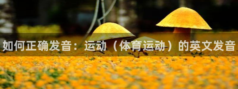 oety欧亿体育官网下载平台注册：如何正确发音：运动（体育运