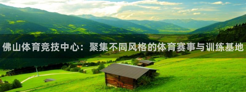 oety欧亿体育官网下载招商电话：佛山体育竞技中心：聚集不同