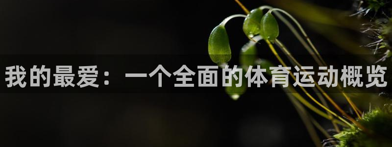oety欧亿体育官网下载软件：我的最爱：一个全面的体育运动概