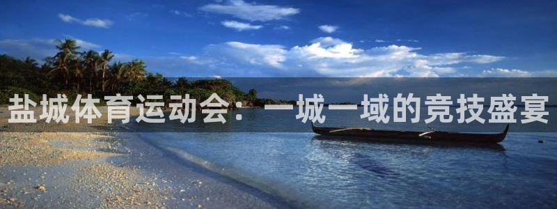 欧亿体育官方正版app集团E.ON：盐城体育运动会：一城一域
