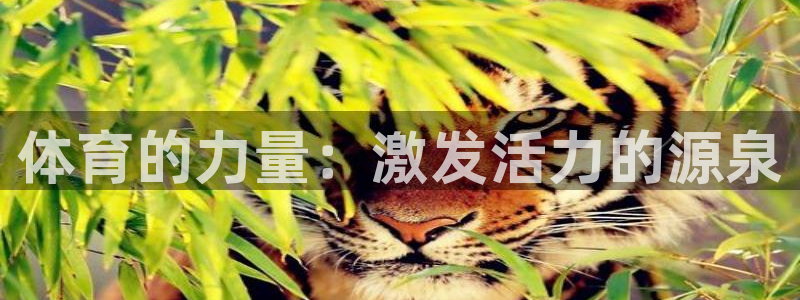 oety欧亿体育官网下载招商电话号码是多少啊：体育的