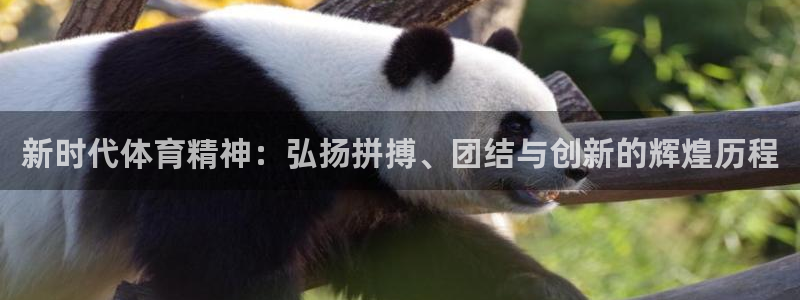 欧亿体育官方正版app集团：新时代体育精神：弘扬拼搏