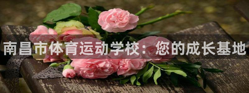 oety欧亿体育官网下载官方客服电话：南昌市体育运动