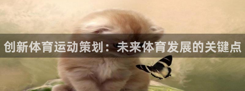 欧亿体育官方正版app娱乐代理怎么样：创新体育运动策划：未来