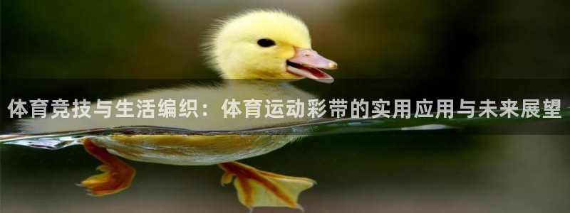 欧亿体育官方正版app娱乐首页网站大全