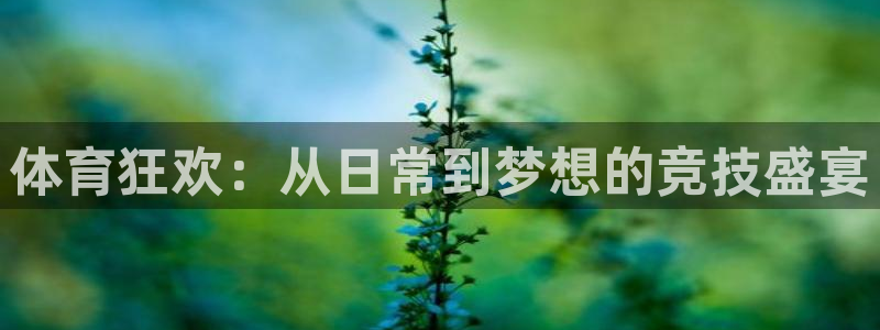 oety欧亿体育官网下载招商电话：体育狂欢：从日常到梦想的竞