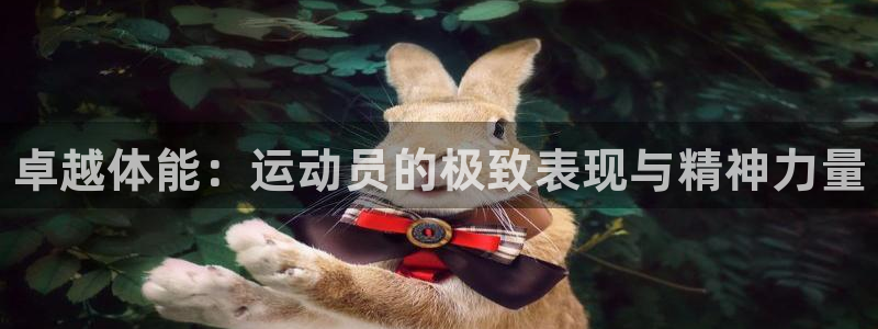 oety欧亿体育官网下载软件：卓越体能：运动员的极致表现与精