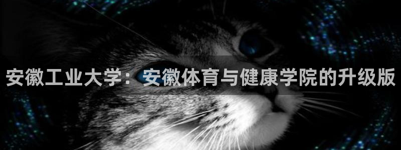 oety欧亿体育官网下载招商电话是多少：安徽工业大学：安徽体