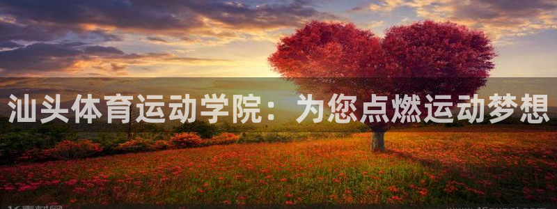 欧亿体育官方正版app集团简介：汕头体育运动学院：为您点燃运