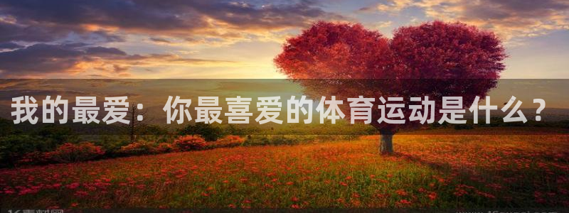 德国欧亿体育官方正版app集团：我的最爱：你最喜爱的体育运动