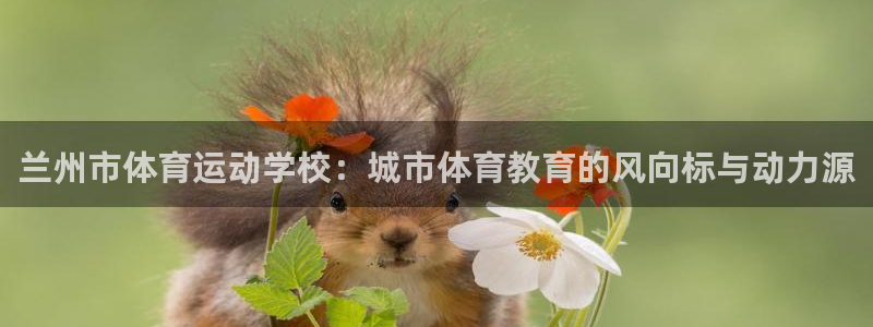 欧亿3代理