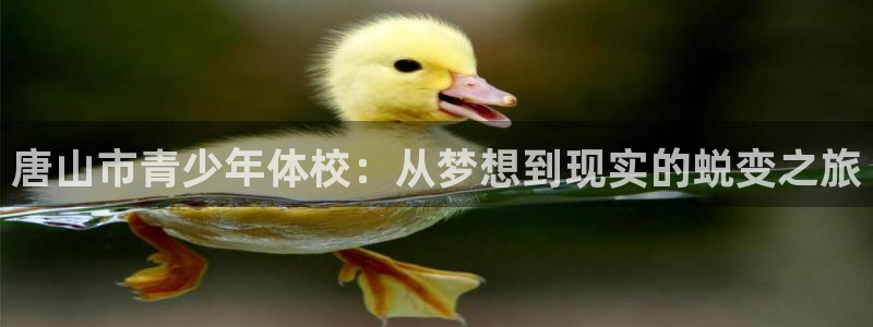 oe欧亿APP下载官网
