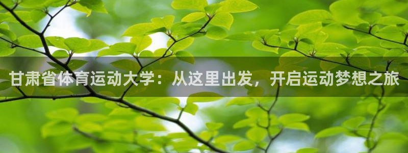 oety欧亿体育网站：甘肃省体育运动