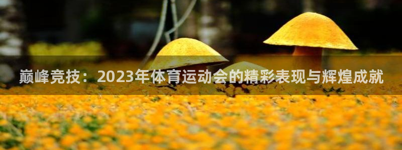OE欧亿·(中国)体育官方网站