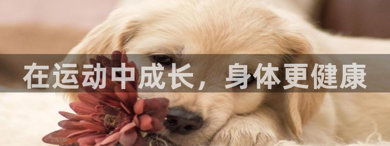 oe欧亿APP下载官网：在运动中成长